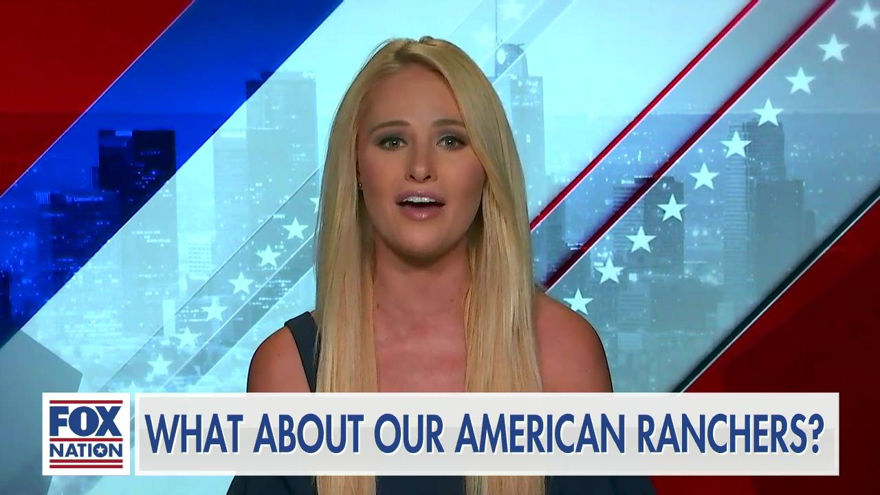 Tomi Lahren: What about our American Ranchers?