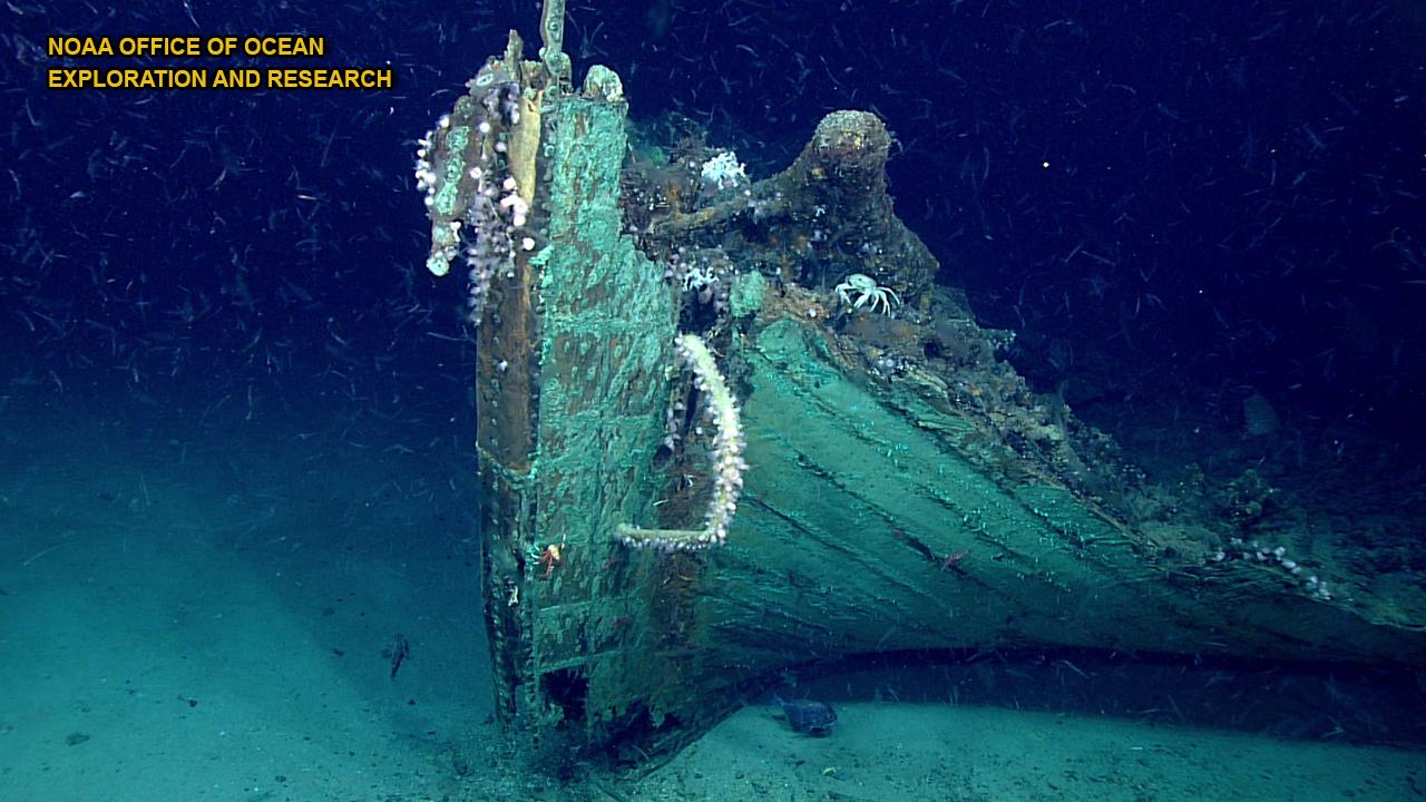 Mysterious 19th-century shipwreck discovered by accident in the Gulf of Mexico