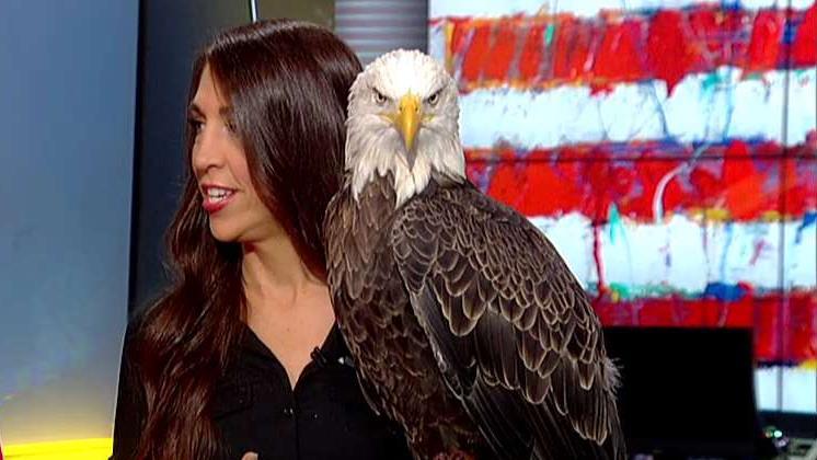 America's most famous bald eagle celebrates National American Eagle Day on 'Fox & Friends'
