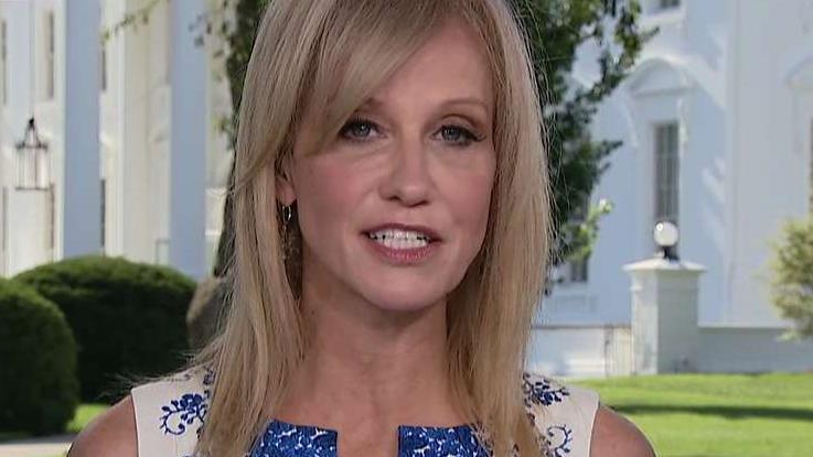 Kellyanne Conway: Democrats want to put a big roll of masking tape over my mouth because I helped elect Trump
