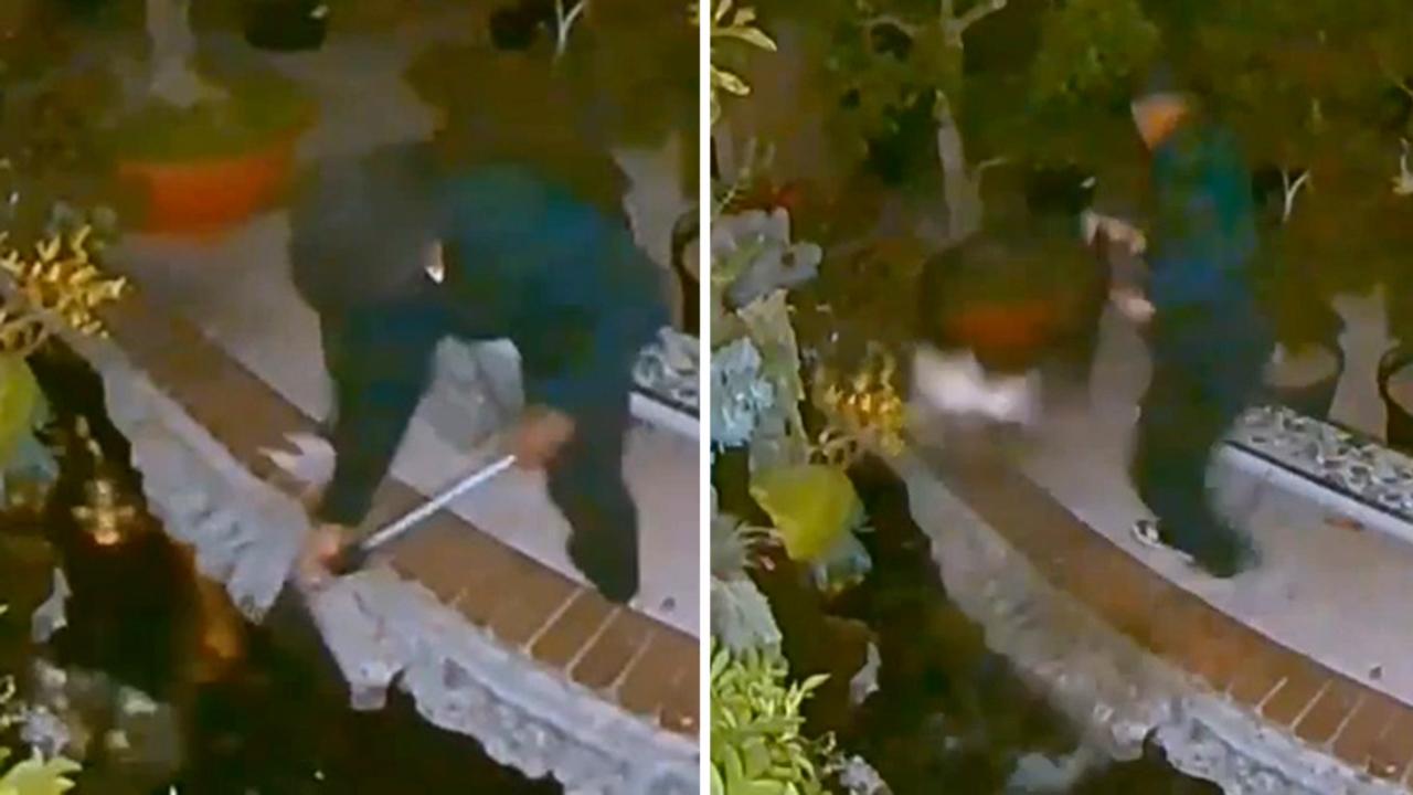 Man caught on camera stealing koi fish from a home in California