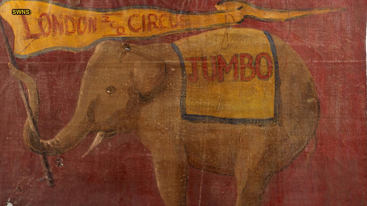 Rare poster depicting real-life 'Dumbo' could be worth major money