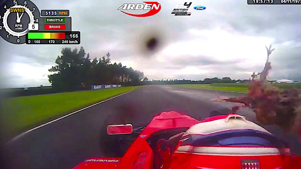 WATCH: Race car driver hit in the head by pheasant while traveling at 105 mph