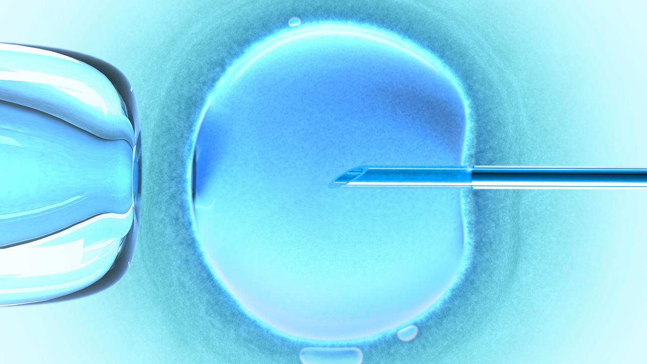 Woman sues after giving birth to wrong babies in shocking IVF mix-up