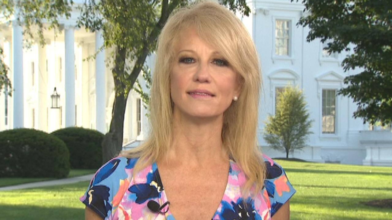 Counselor to the president Kellyanne Conway speaks out on the census showdown and border crisis on 'Fox &amp; Friends.'
