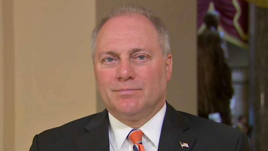 House Minority Whip Steve Scalise: You’re seeing a fight between the far-left socialists and the liberals