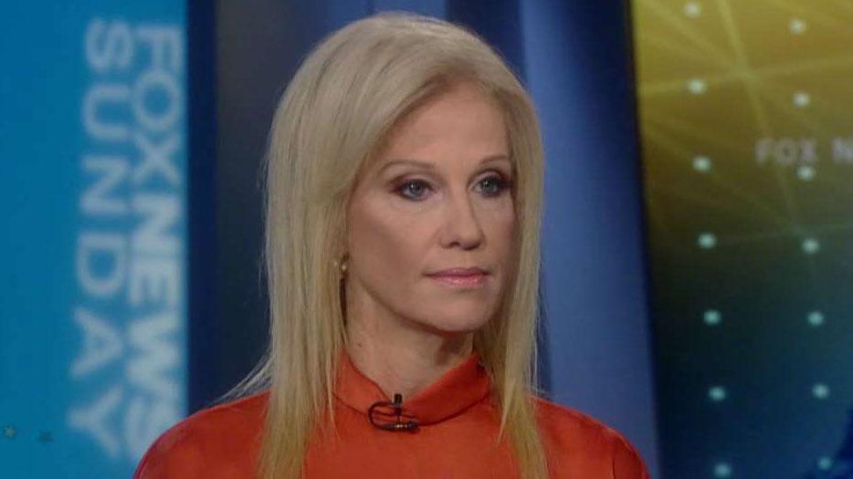 Kellyanne Conway on President Trump's immigration policies, push for citizenship count