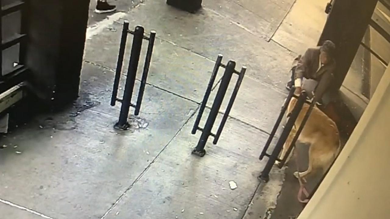 RAW VIDEO: Dog stolen in SF