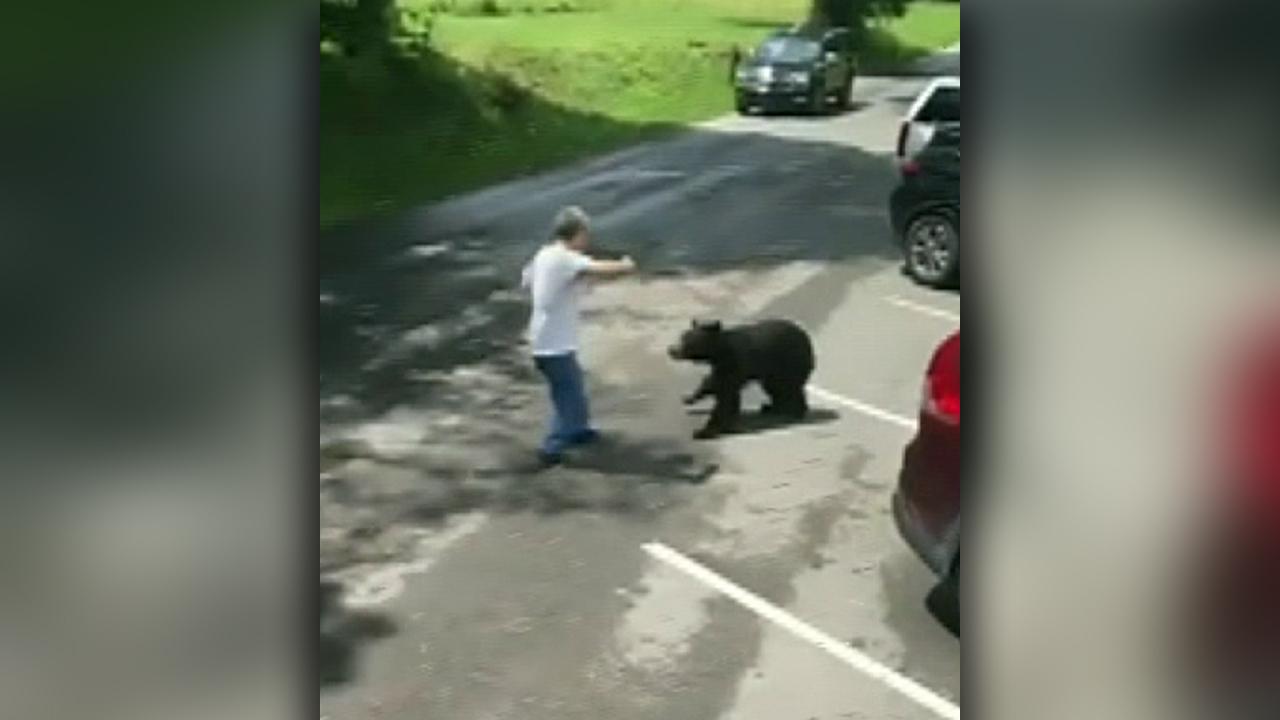 Raw video: Mother bear charges at man who got too close to her cubs	