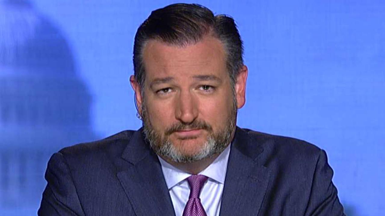 Sen. Cruz: Freshman Democrats are radical and extreme with a troubling history