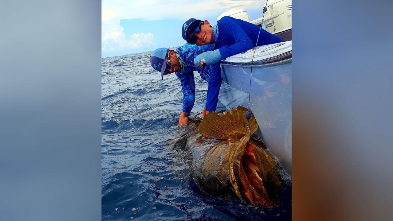 Father, sons reel in over 2,000 pounds of Goliath grouper: 'The catch of a lifetime'