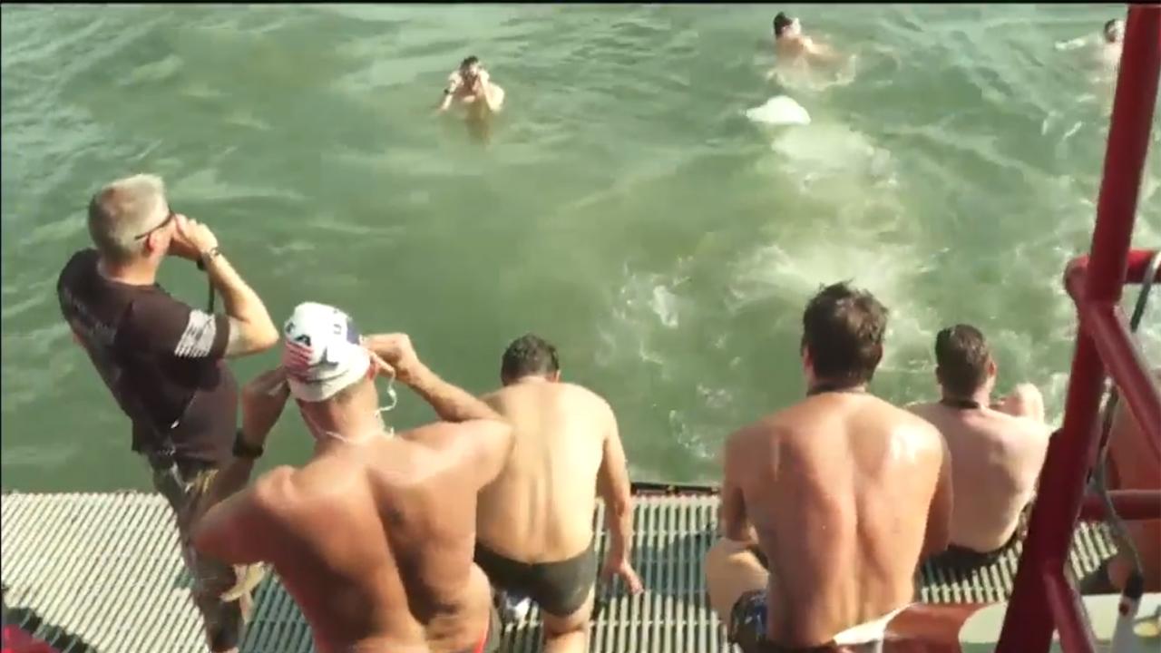 Seals Dive Back Into The Hudson River For Second Leg Of Charity Swim Fox News Video 6572