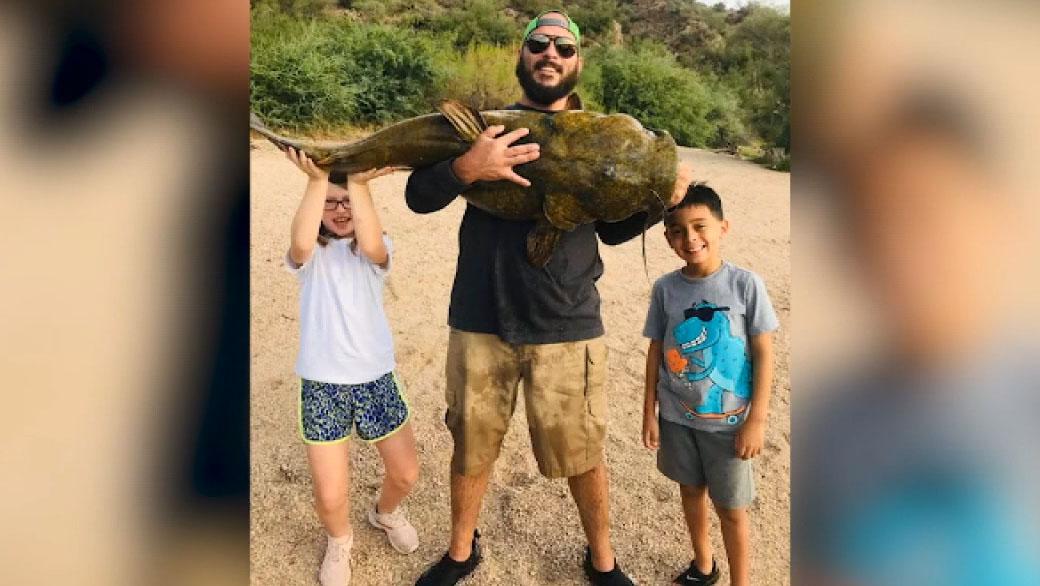 Arizona man catches 50-pound fish