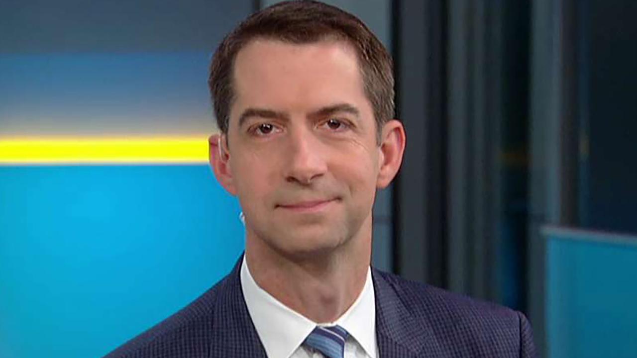 Sen. Cotton talks red flag laws, says 2020 Democrats have 'truly lost their minds'