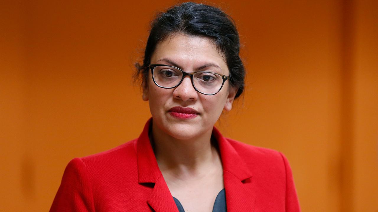Rep. Rashida Tlaib says she will not visit Israel after ban is lifted on her entry