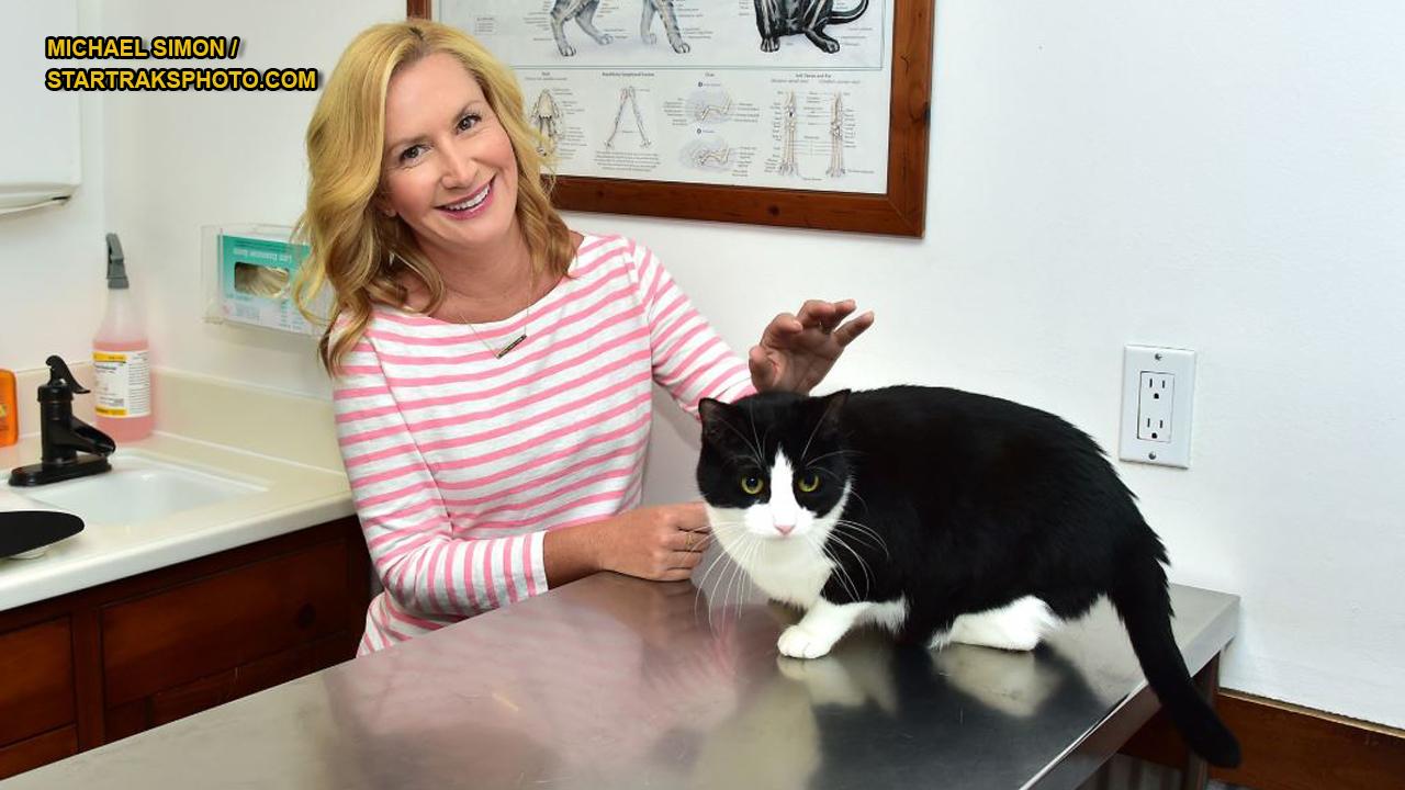 'The Office' actress Angela Kinsey reveals the origin of her character's love for cats
