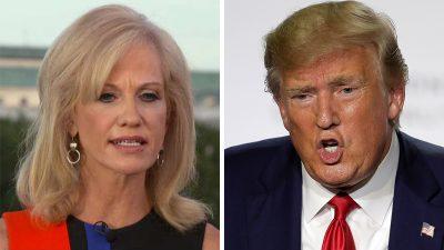 Kellyanne Conway reacts to Trump trade negotiation critiques