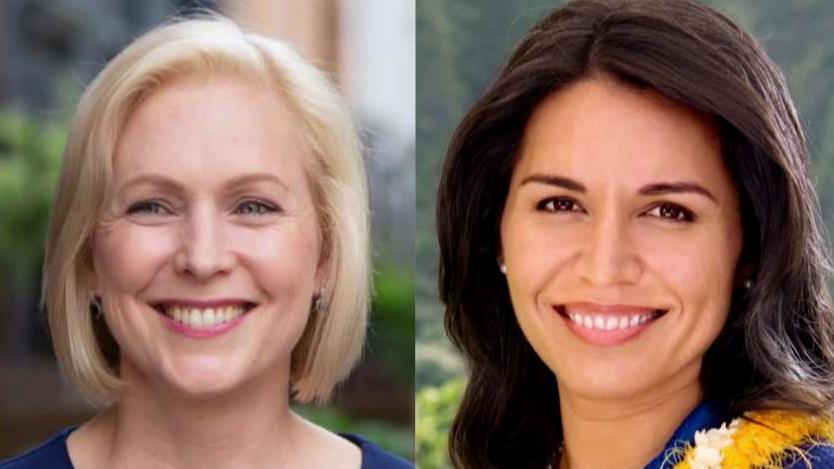 Steyer, Gillibrand, Gabbard and Williamson expected to miss cut for next Democrat debate