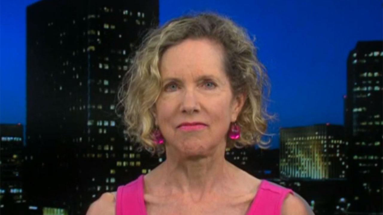 Heather Mac Donald says majority of US gun violence happens in inner cities and can be solved by cops