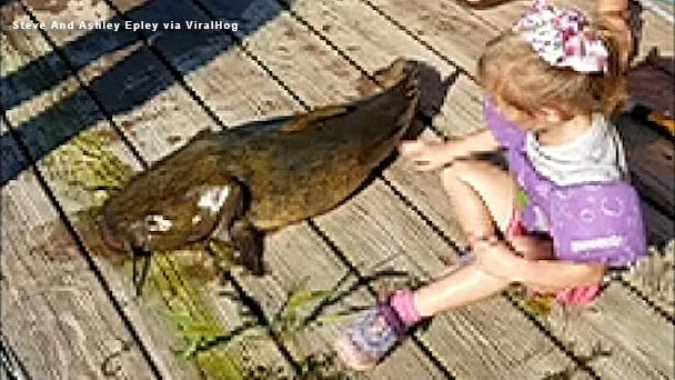 Caught on video: 4-year-old catches 33-pound catfish