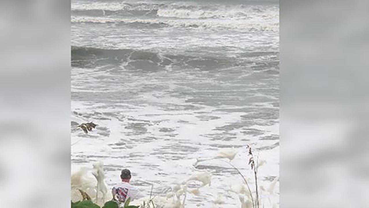 Man rescues boy in Atlantic Ocean 