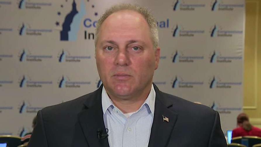 Rep. Steve Scalise: We've worked with the president to get the hottest economy in the world now