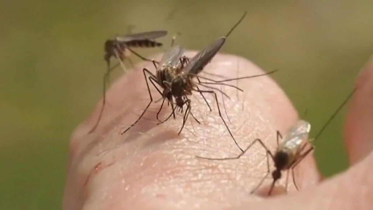 Rare mosquito-borne illness responsible for at least five deaths, 21 illnesses in six states