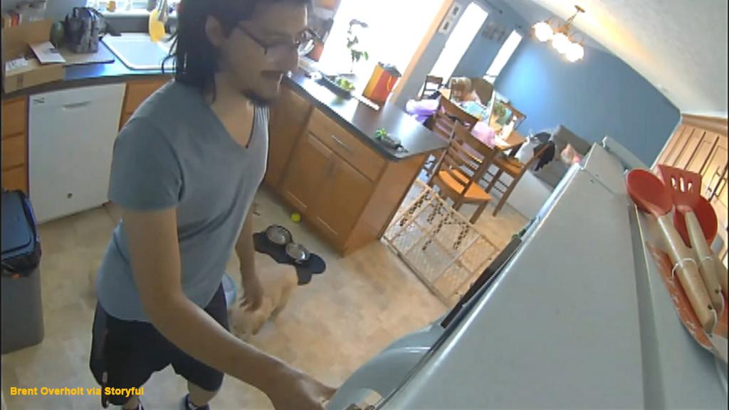 WATCH: Dog walker caught raiding family's fridge, sneaking swigs of their booze