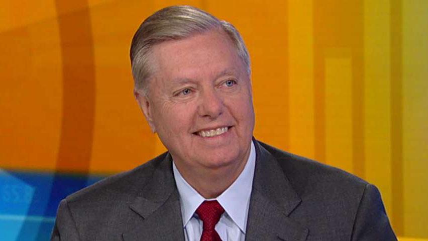 Sen. Lindsey Graham: No one has looked at the Ukraine and the Bidens