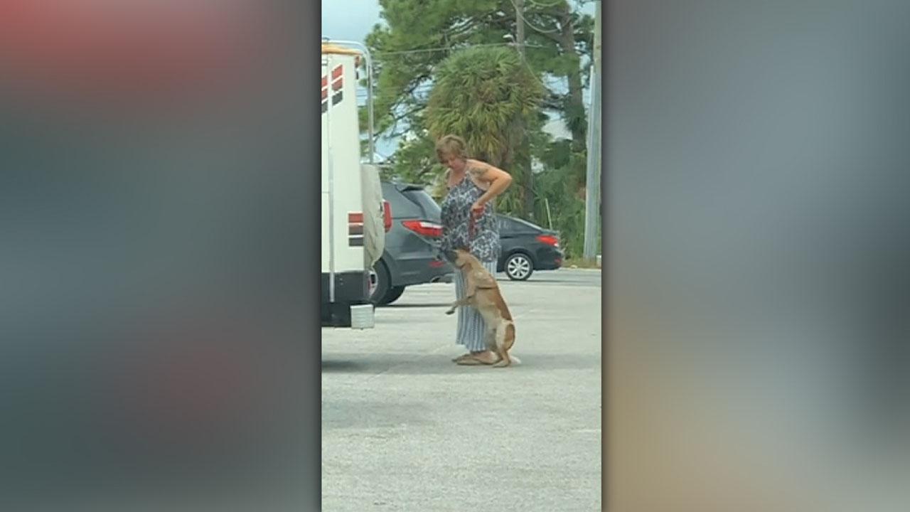 Florida woman arrested for kicking, pulling dog off the ground by leash 