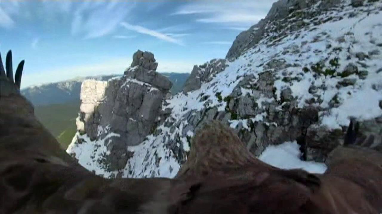 Raw video: Camera attached to an eagle shows the reduction of Europe's glaciers	