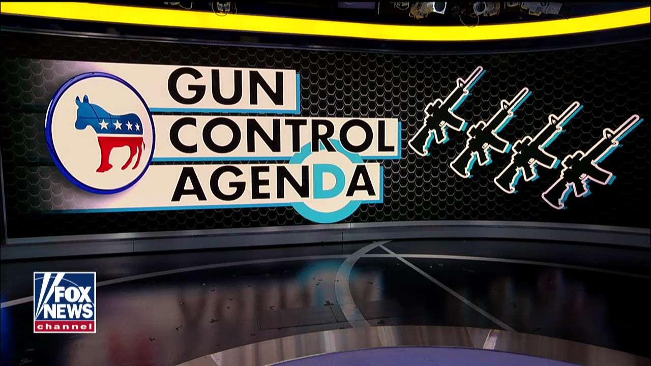 Dana Loesch reacts to 2020 Democrats' extreme positions on gun control