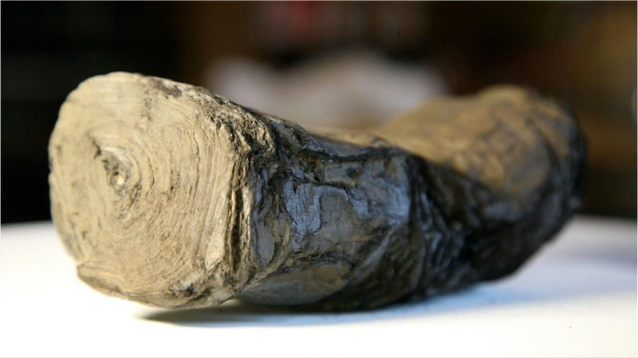Mysterious scrolls linked to Julius Caesar could be read for first time ever