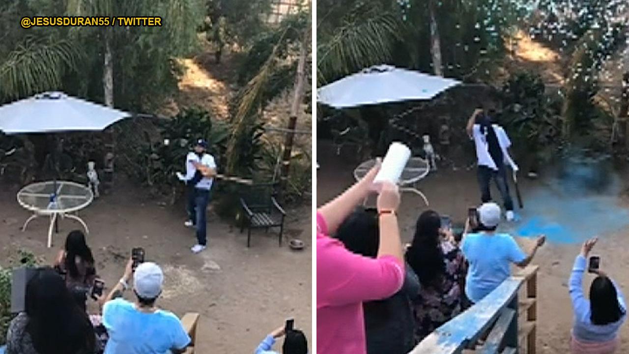 Dad-to-be strikes out during baseball-themed gender reveal