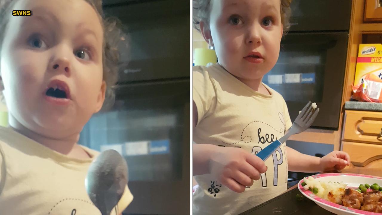 3-year-old's reaction to where sausages come from goes viral