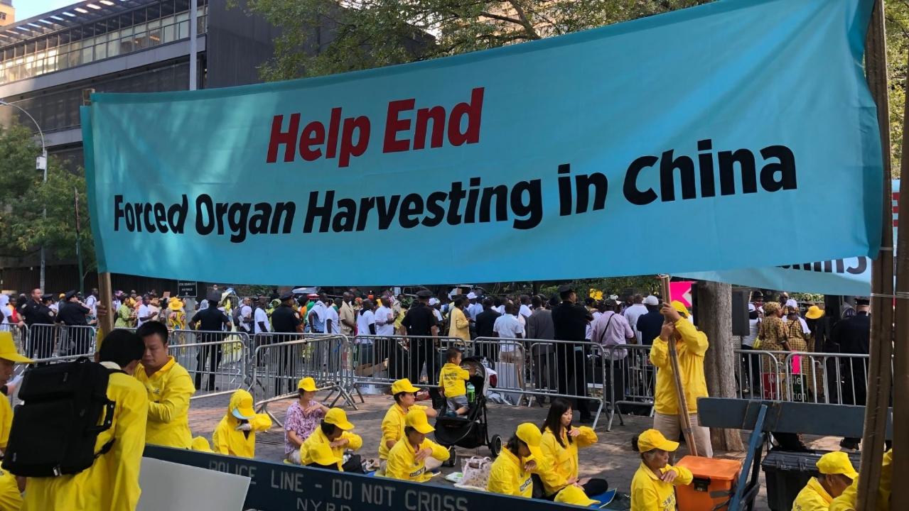 China's state-sanctioned organ harvesting victims speak out