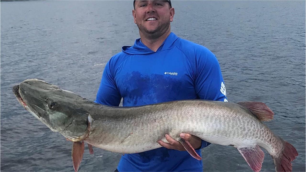 Iowa man catches record-breaking fish in Minnesota: 'A day that I'll certainly never forget'