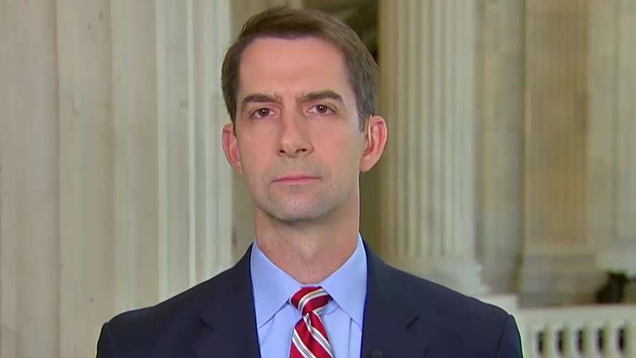 Sen. Tom Cotton says the US has three remaining interests in Syria