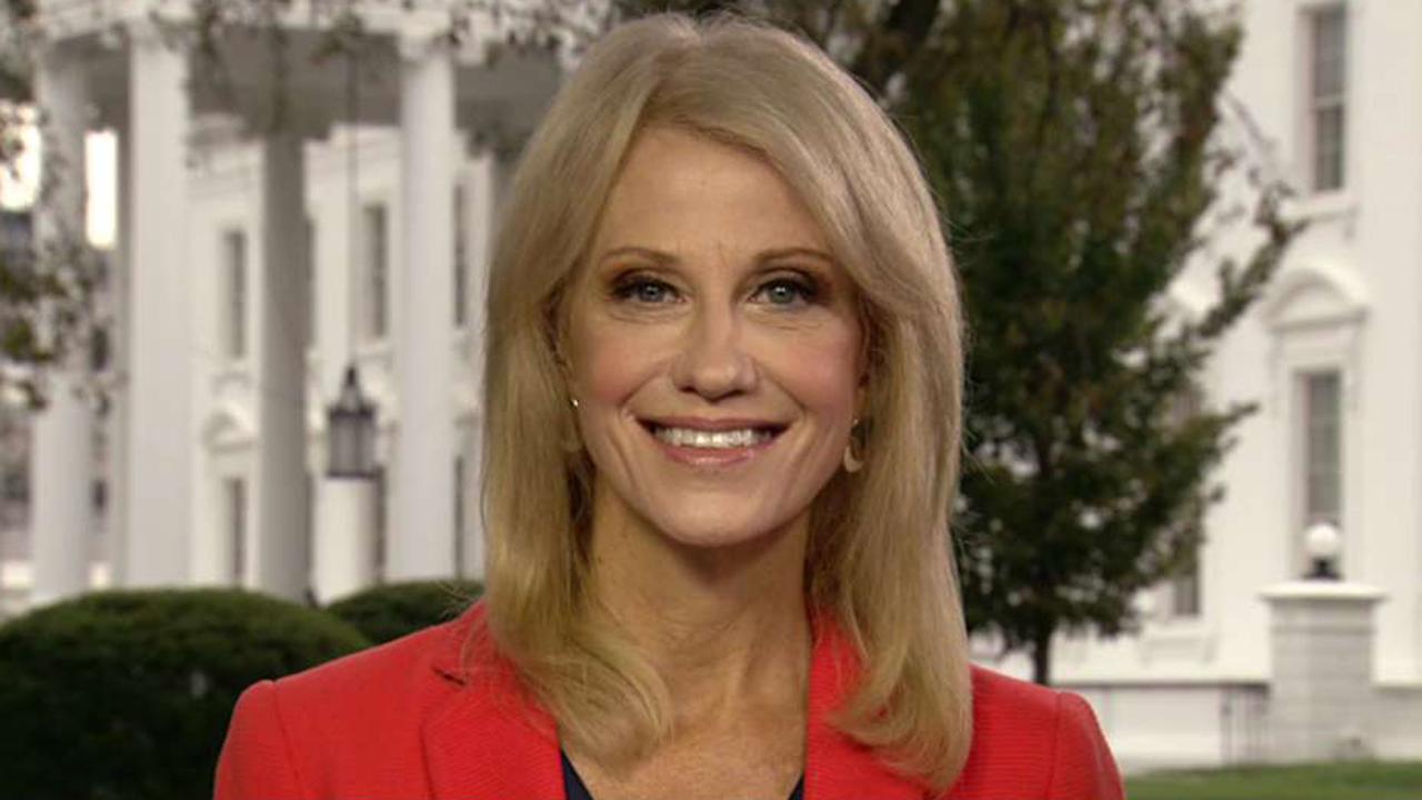 Kellyanne Conway: We're guilty of the best political upset in history