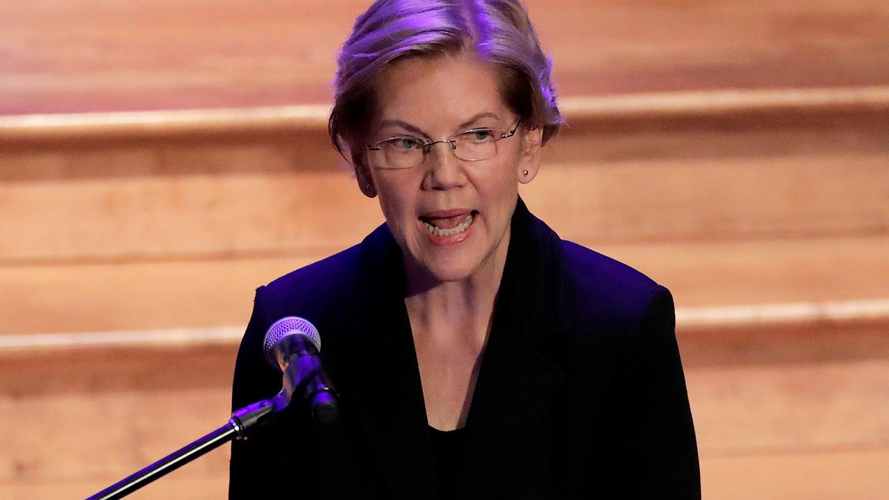 Elizabeth Warren looks to raise taxes on all guns and ammunition