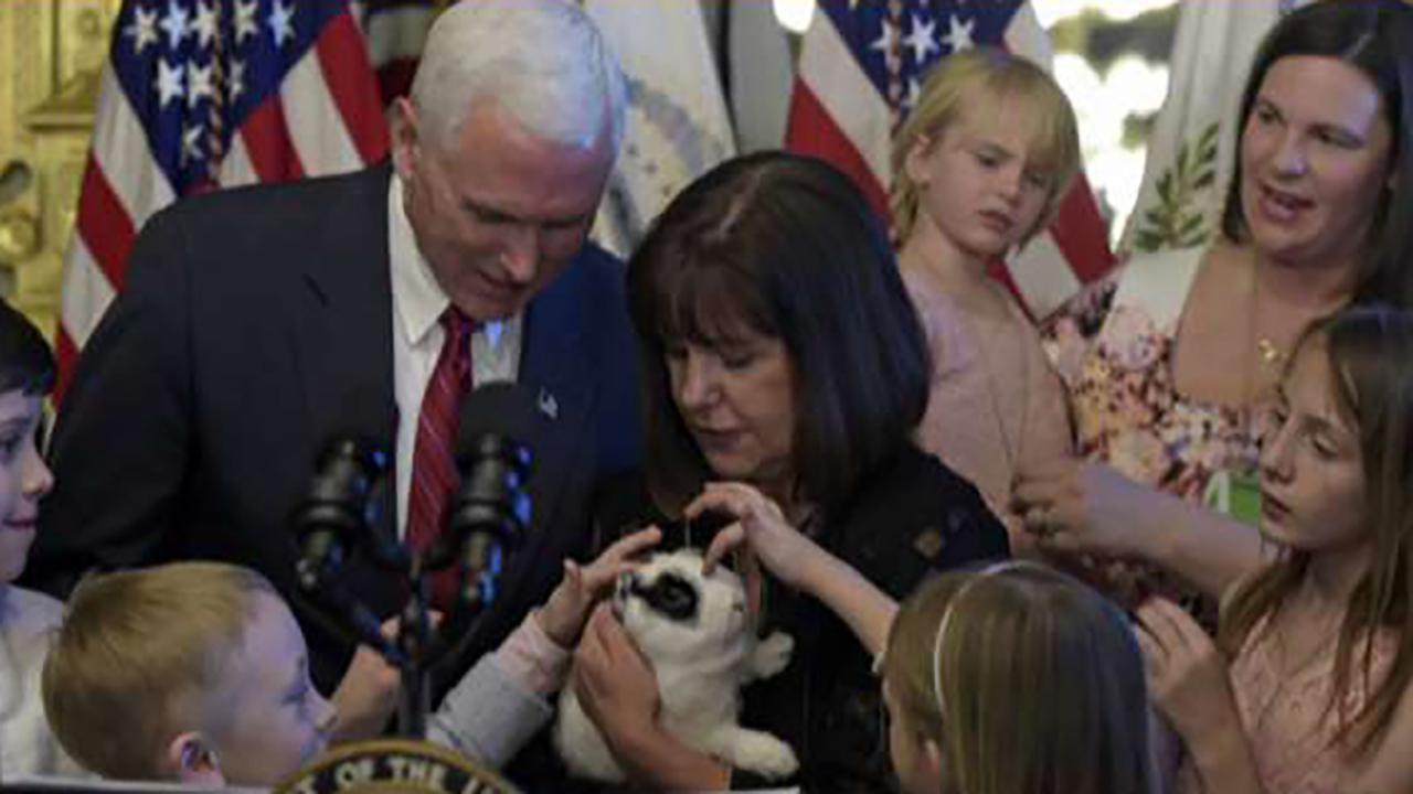 Pence family bunny is back in 'Marlon Bundo's Best Christmas Ever'