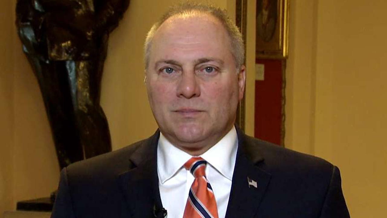 Scalise: Trump being targeted for carrying out the foreign policy he was elected for