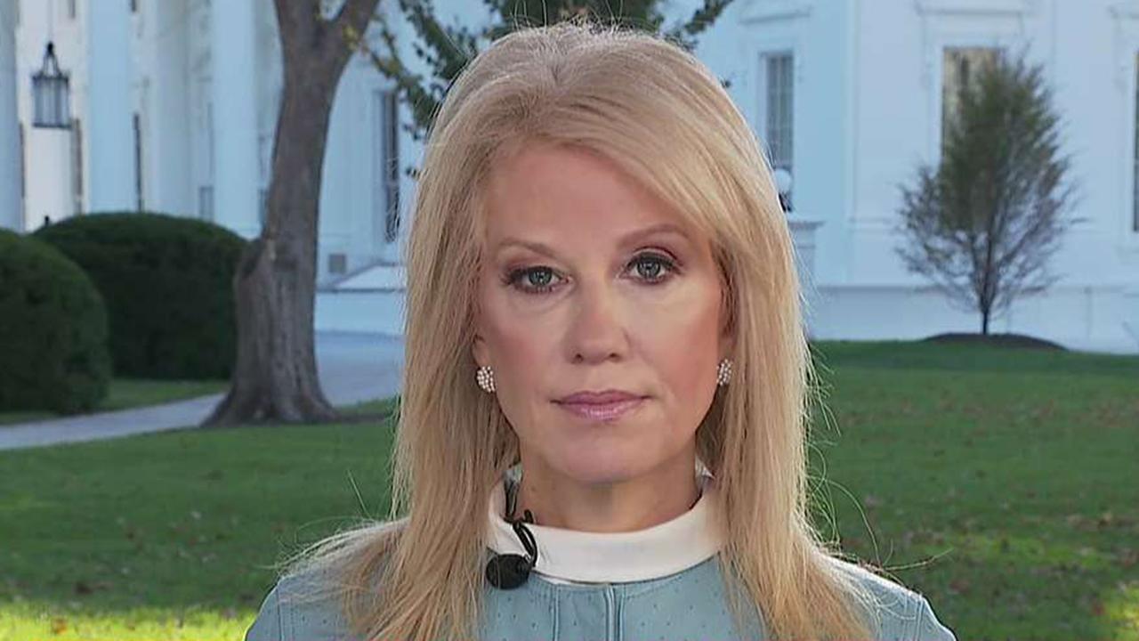 Conway talks Trump's offer to wage 'war' on Mexican drug cartels, transcripts from impeachment probe