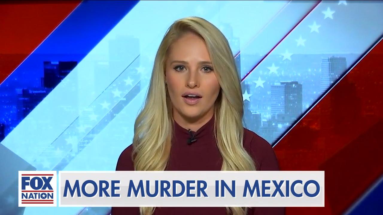 Tomi Lahren praises Trump's wall efforts after cartel attack