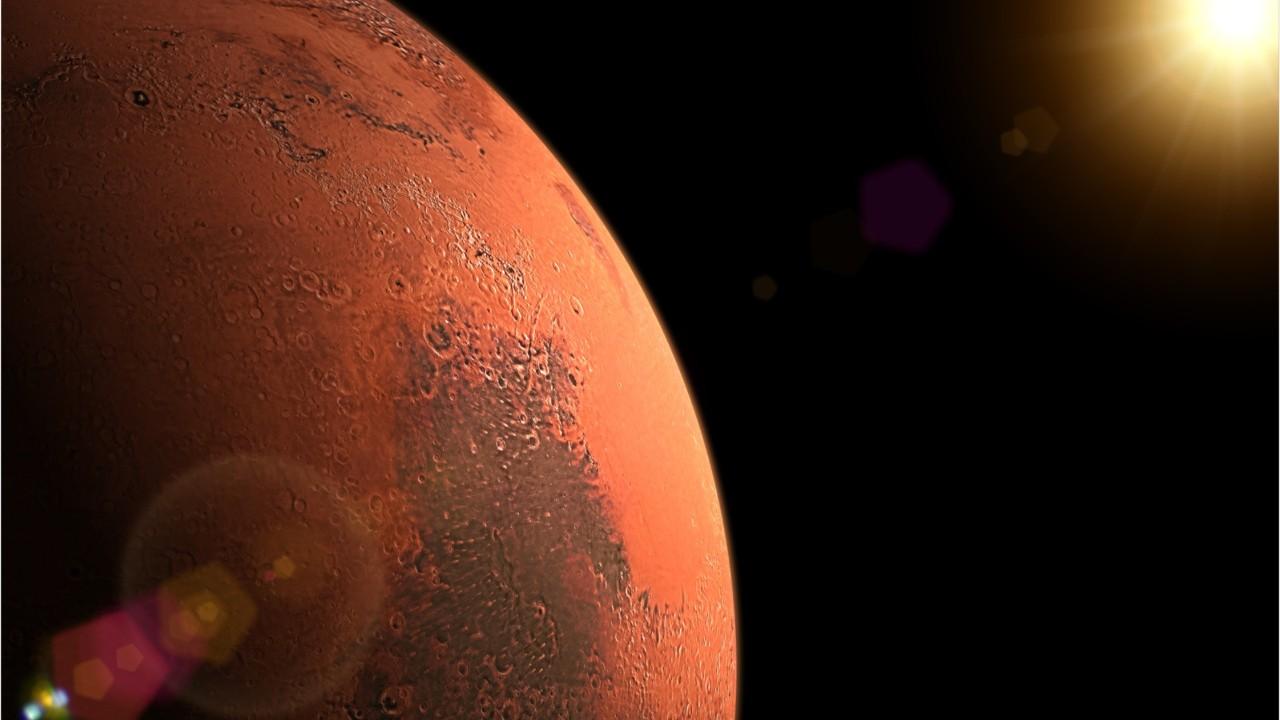 University professor believes he’s found insect-like life forms on Mars
