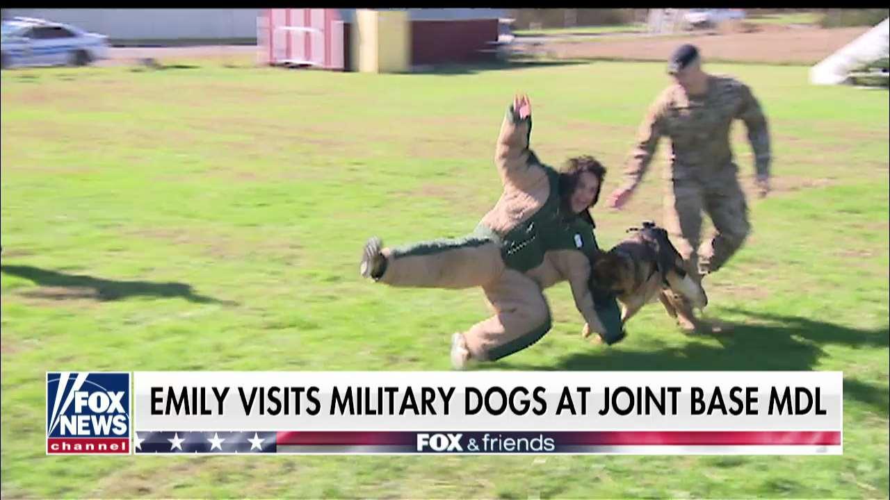 Emily Compagno visits military dogs at Joint Base MDL