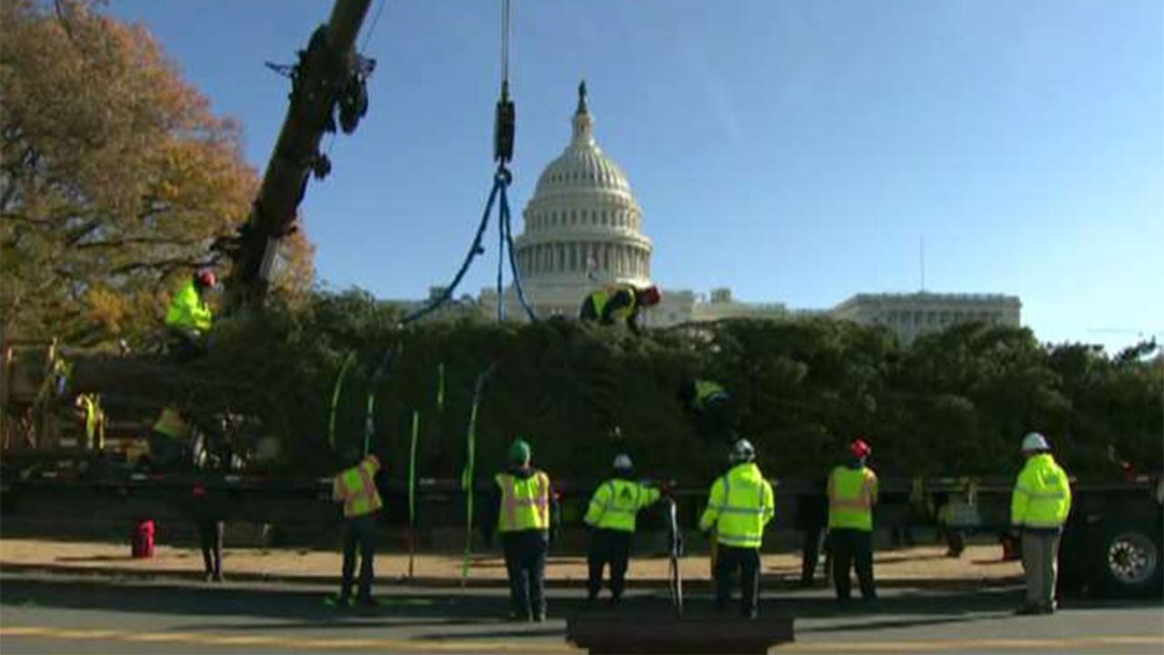 Professional trucker on delivering the Capitol Christmas Tree to Washington