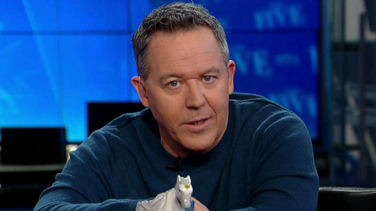 Gutfeld on calling Trump supporters a cult