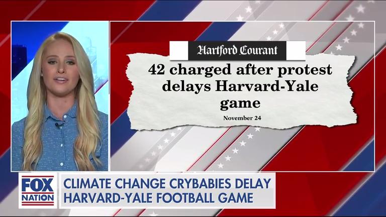 Tomi Lahren rips climate protesters' latest 'tantrum' during Harvard-Yale game: ‘I’m sick and tired of the crybabies’