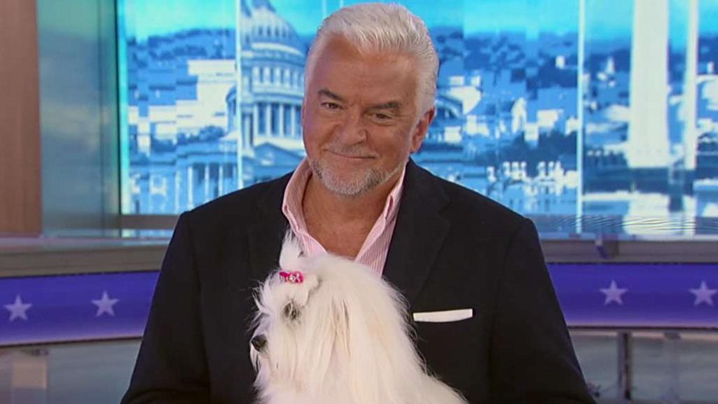 John O'Hurley previews 'The National Dog Show Presented By Purina'
